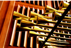 orgue.png
