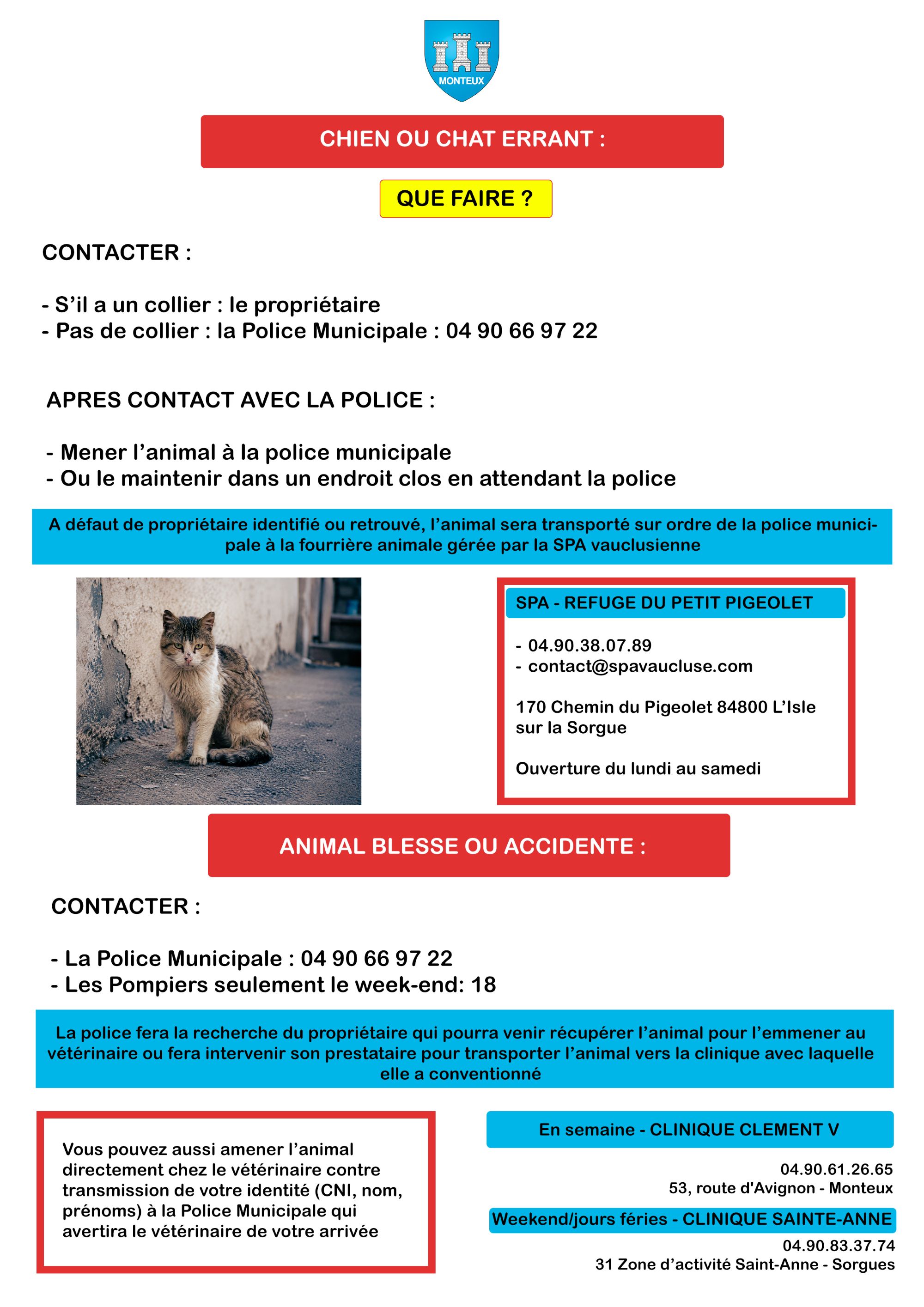 affiche animaux errants procédure v2.jpg