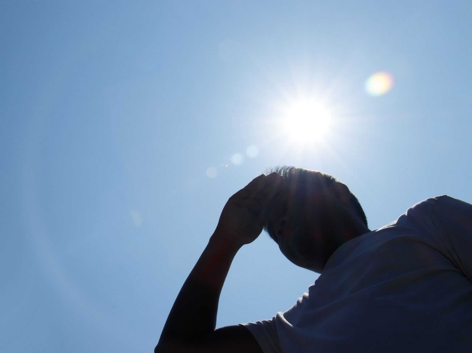 Canicule.jpg