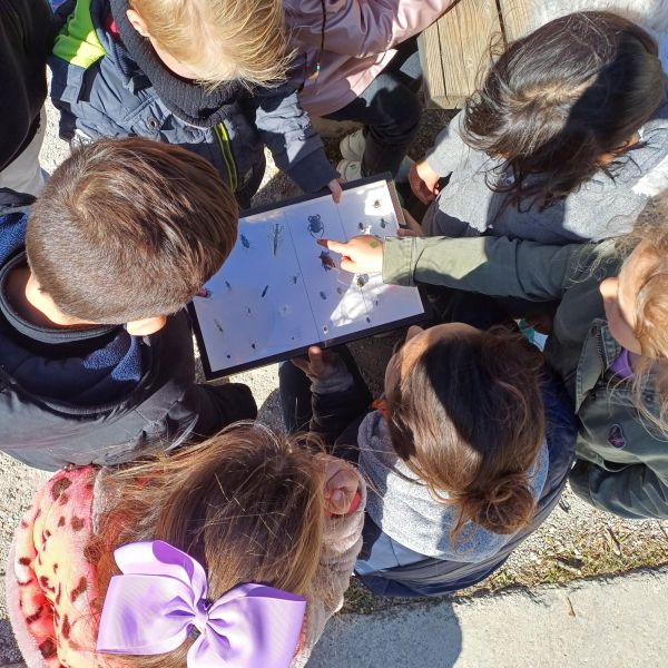 Ecole de la nature.jpeg