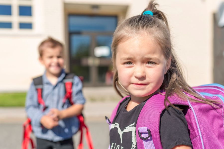 Ecole_inclusion.jpg