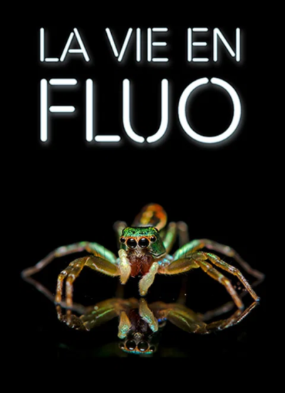 La_vie_en_fluo.png
