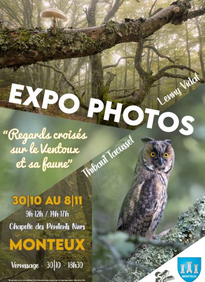 Affiche_expo_Regards_croises_sur_le_Ventoux_et_sa_faune_copie1.jpg