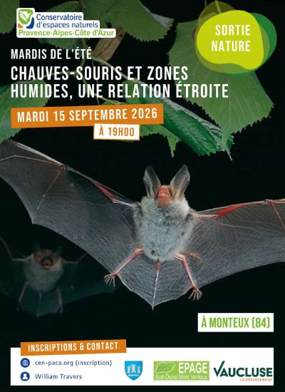 Sortie_Chiros_Confines.jpg