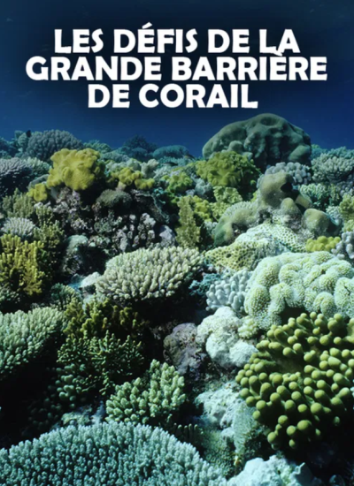 Barriere_de_corail.png